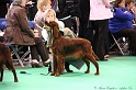 Crufts2011 172